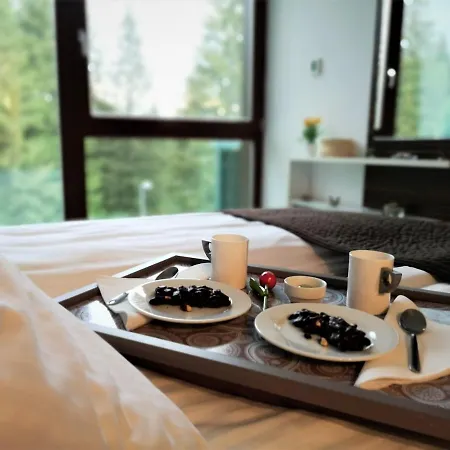 Apartment The Evergreen Nest - Silver Mountain Poiana Brasov