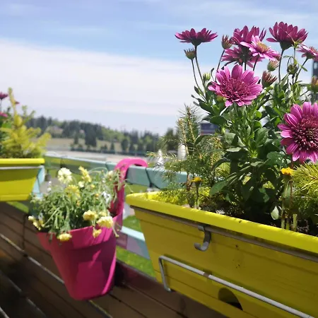 The Evergreen Nest - Silver Mountain Apartment