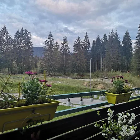 Apartment The Evergreen Nest - Silver Mountain *