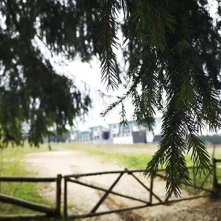 The Evergreen Nest - Silver Mountain * Poiana Brasov