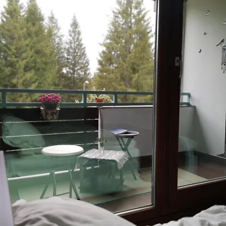 The Evergreen Nest - Silver Mountain Apartment