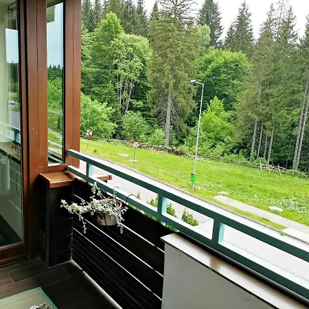 The Evergreen Nest - Silver Mountain * Poiana Brasov