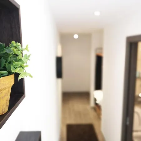 The Evergreen Nest - Silver Mountain Apartment