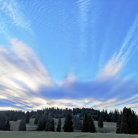 The Evergreen Nest - Silver Mountain * Poiana Brasov