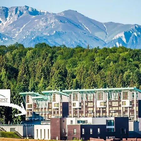 The Evergreen Nest - Silver Mountain Apartment *
