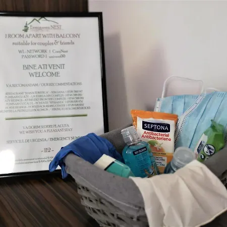 The Evergreen Nest - Silver Mountain Apartment *