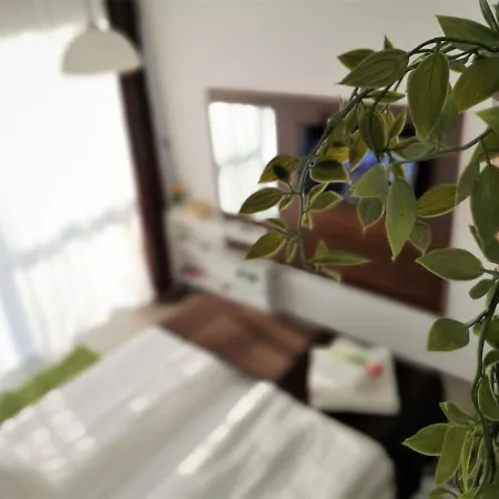 The Evergreen Nest - Silver Mountain Apartment Poiana Brasov
