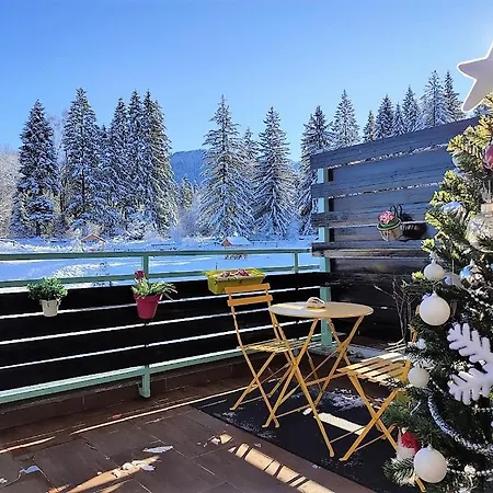 The Evergreen Nest - Silver Mountain * Poiana Brasov
