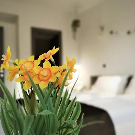 Apartment The Evergreen Nest - Silver Mountain Poiana Brasov