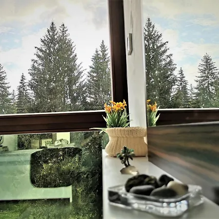 Apartment The Evergreen Nest - Silver Mountain