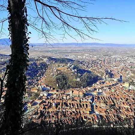 The Evergreen Nest - Silver Mountain * Poiana Brasov