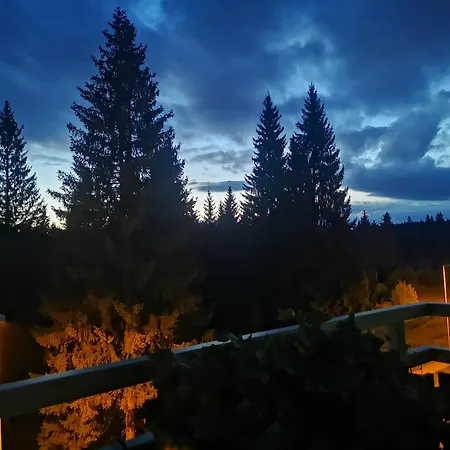 Apartment The Evergreen Nest - Silver Mountain *
