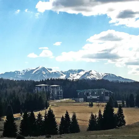 The Evergreen Nest - Silver Mountain Poiana Brasov