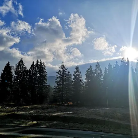 The Evergreen Nest - Silver Mountain Apartment
